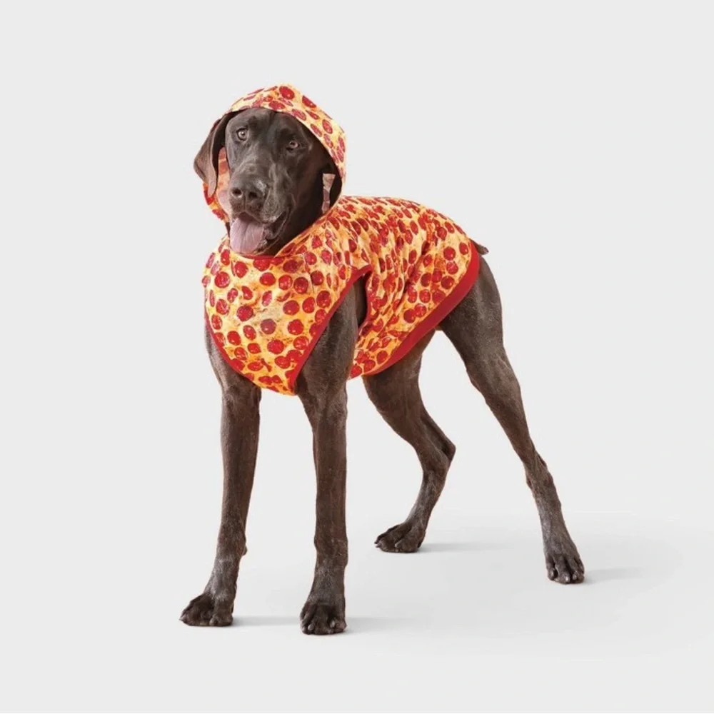 NWT Pizza Hoodie